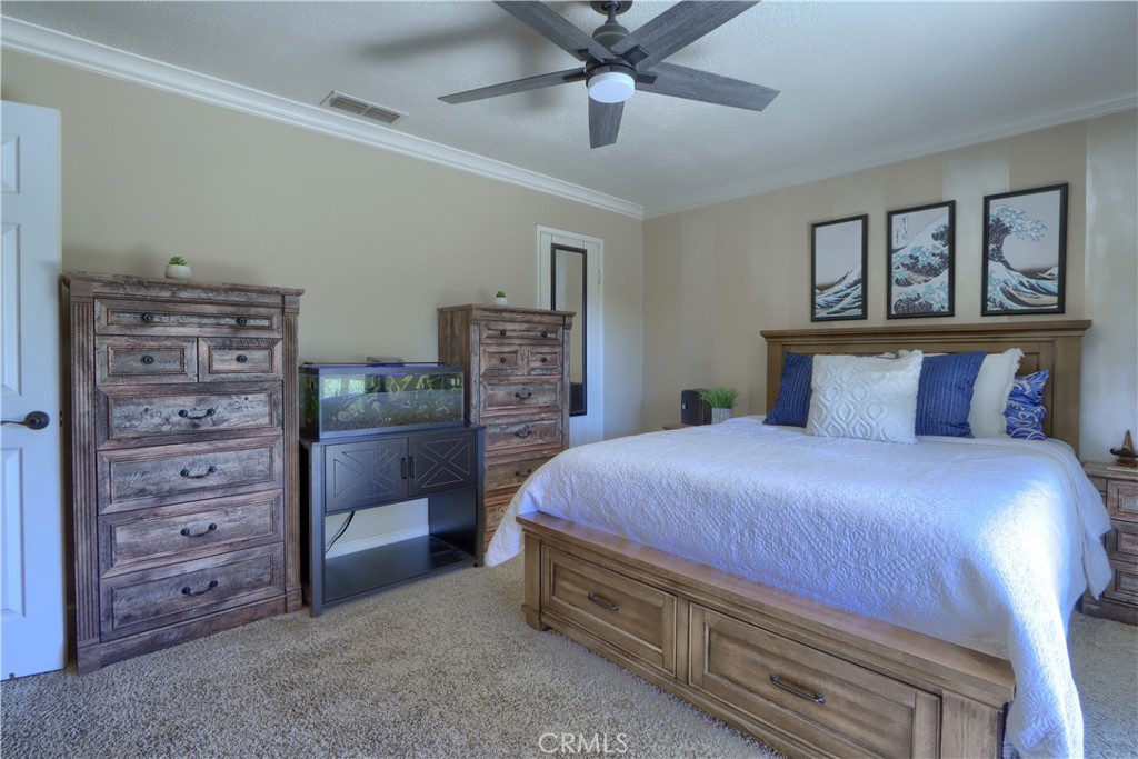 4965 Moss Creek Lane Property Photo 25