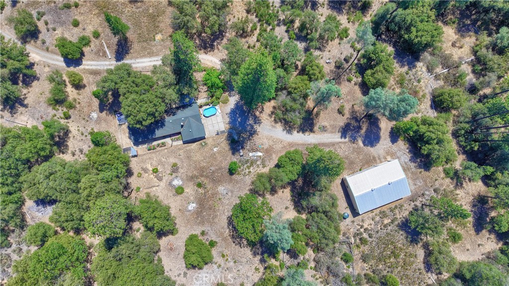 4965 Moss Creek Lane Property Photo 41