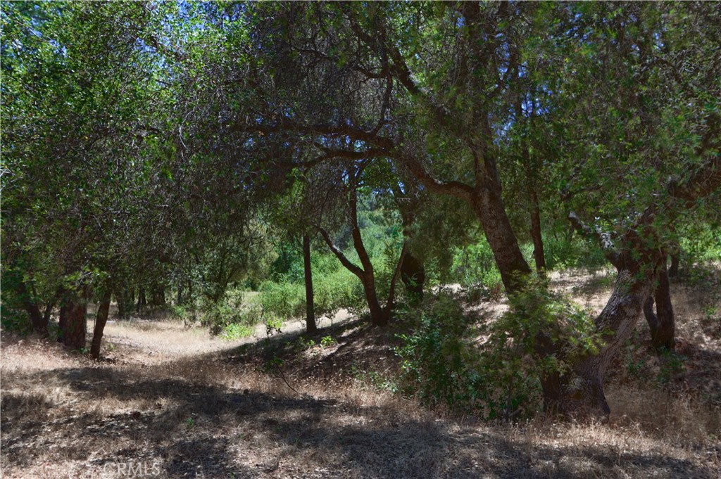 4965 Moss Creek Lane Property Photo 48