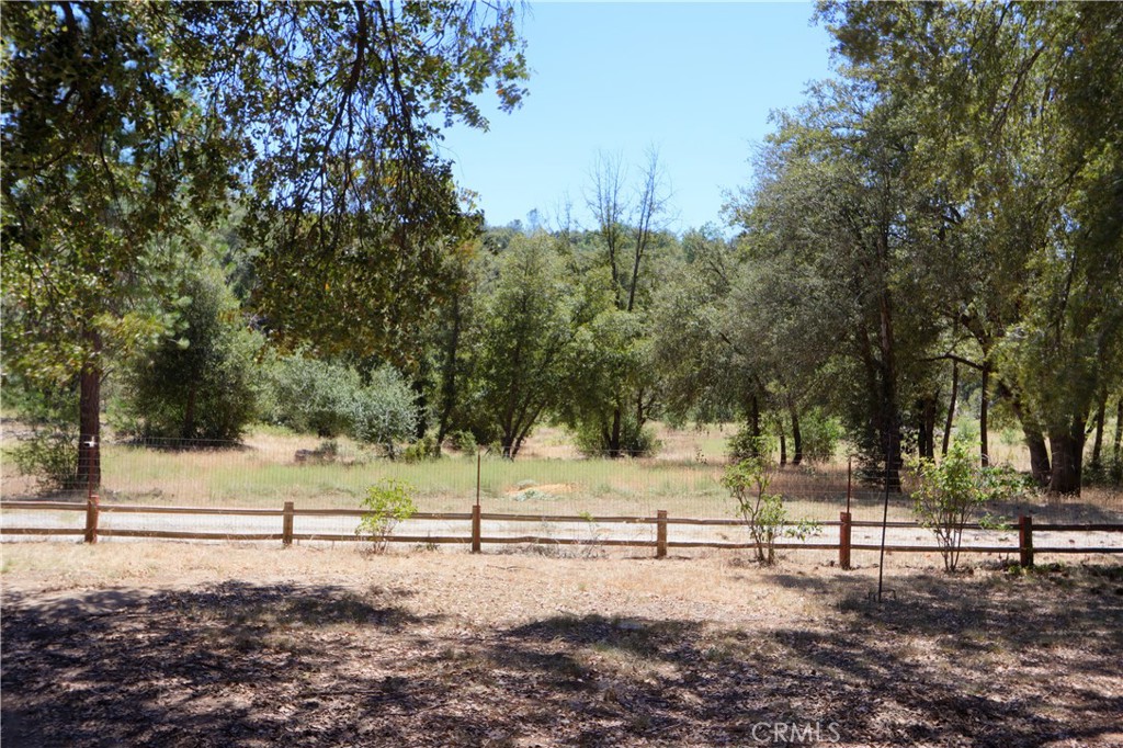 4965 Moss Creek Lane Property Photo 49
