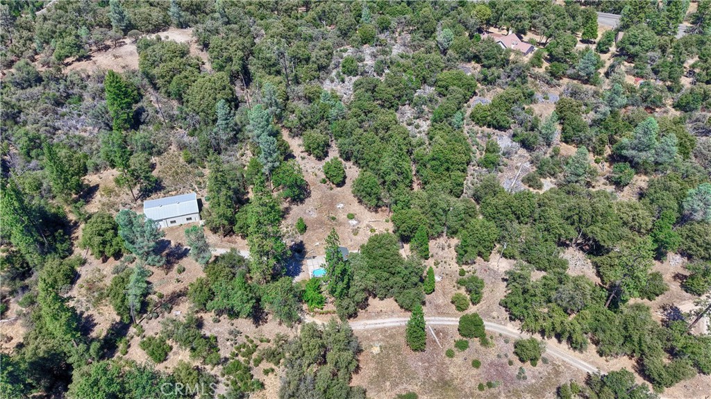 4965 Moss Creek Lane Property Photo 53