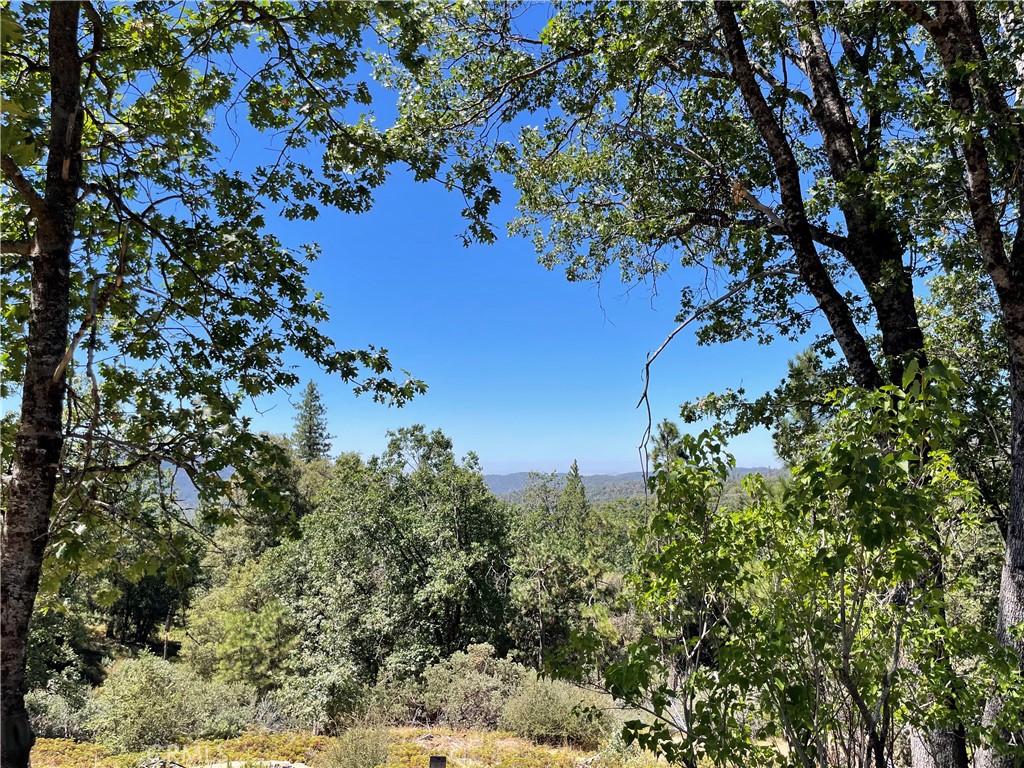 6122 Chowchilla Mountain Property Photo 40