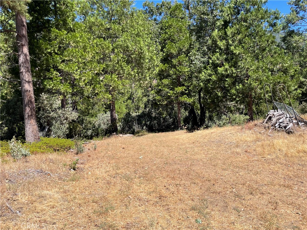 6122 Chowchilla Mountain Property Photo 43