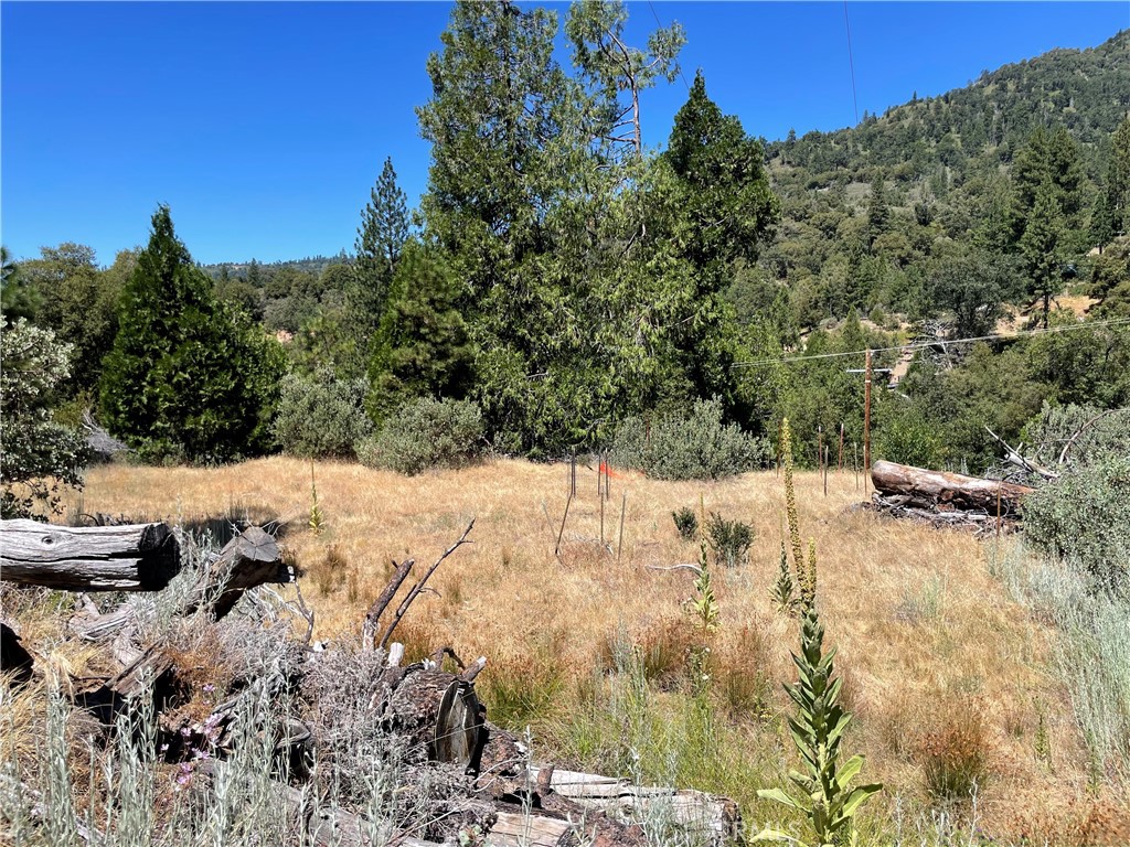 6122 Chowchilla Mountain Property Photo 44