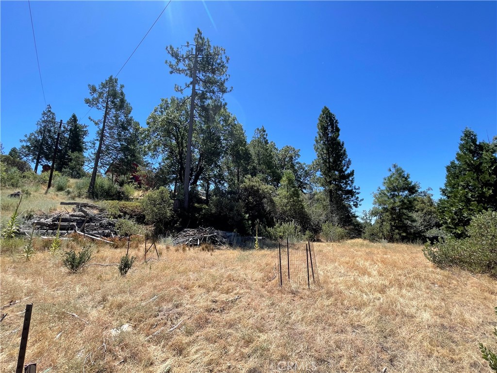 6122 Chowchilla Mountain Property Photo 45