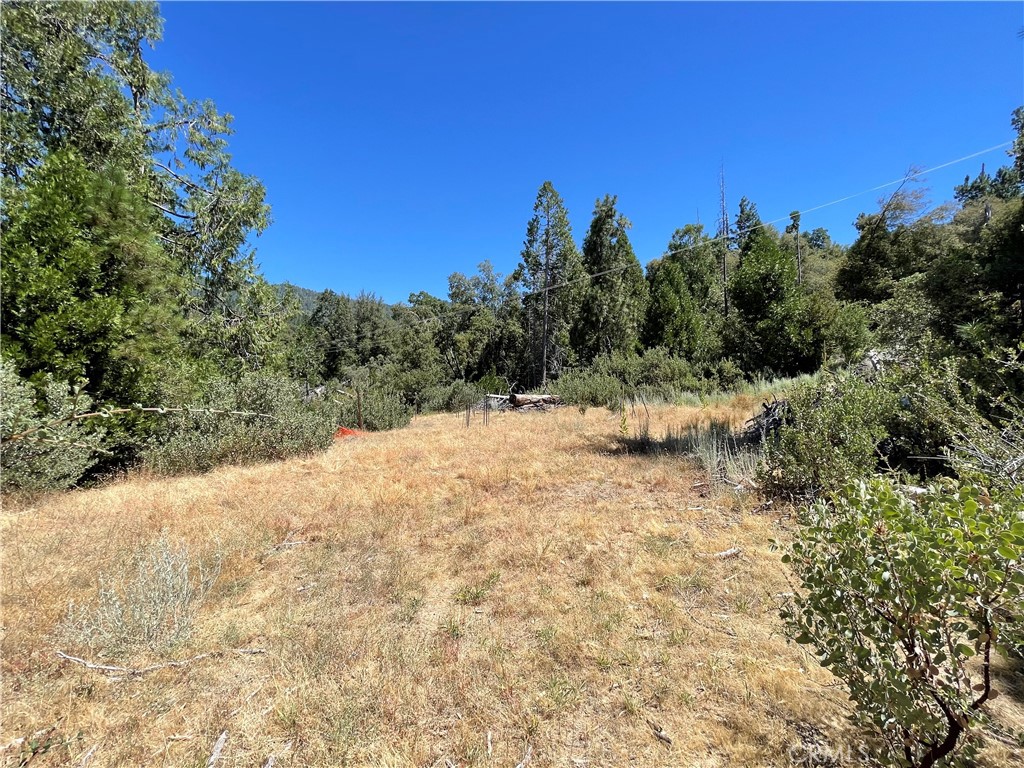 6122 Chowchilla Mountain Property Photo 46