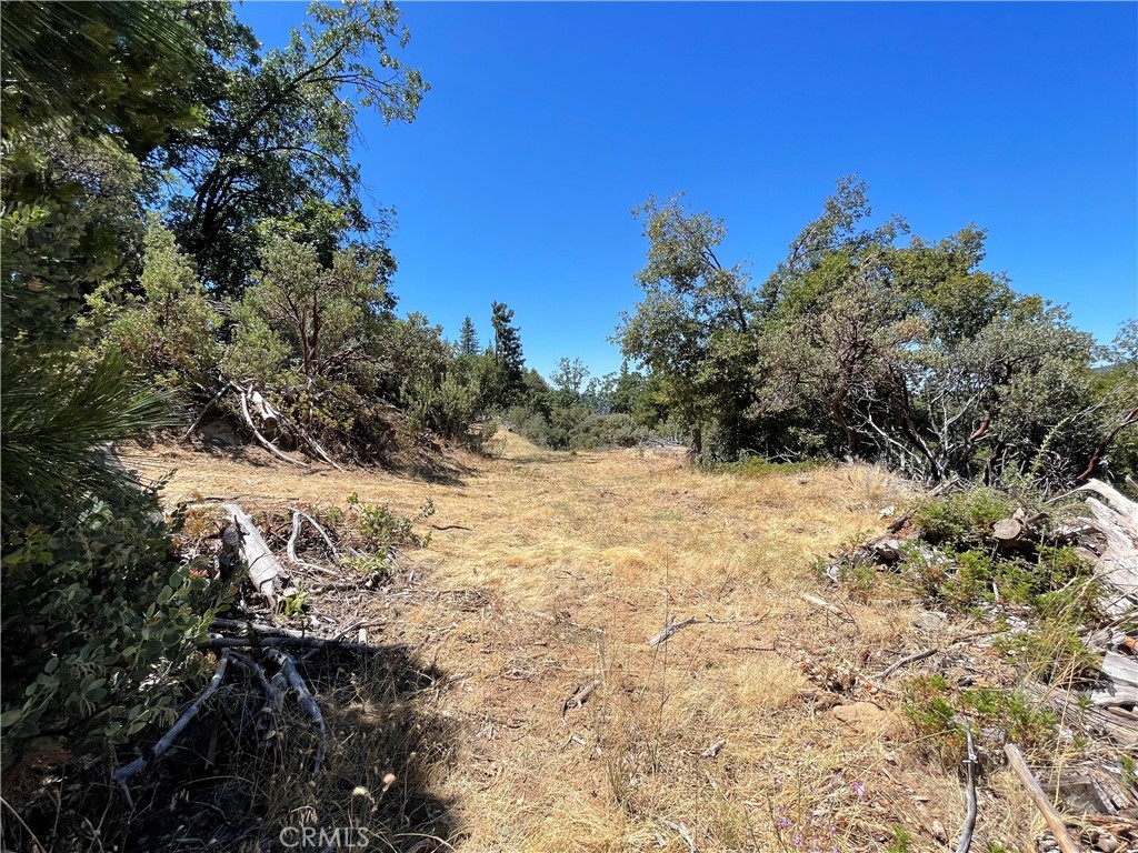 6122 Chowchilla Mountain Property Photo 47