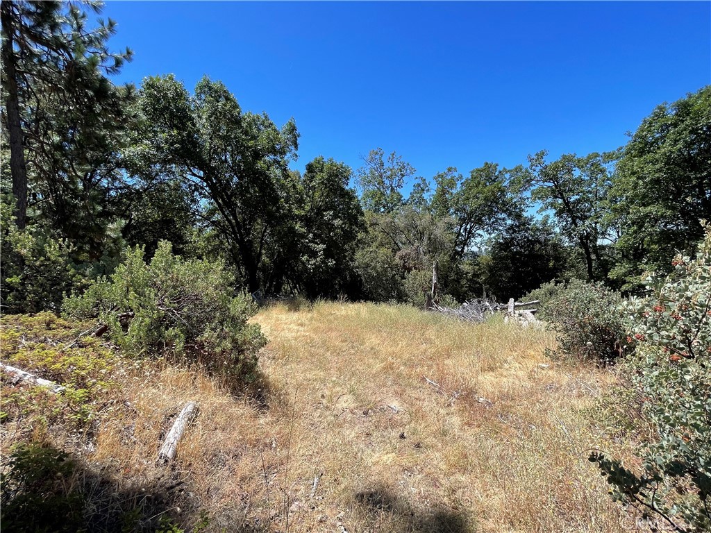 6122 Chowchilla Mountain Property Photo 48