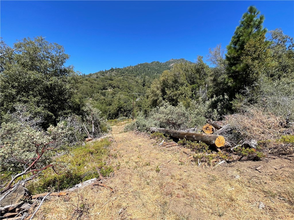 6122 Chowchilla Mountain Property Photo 49