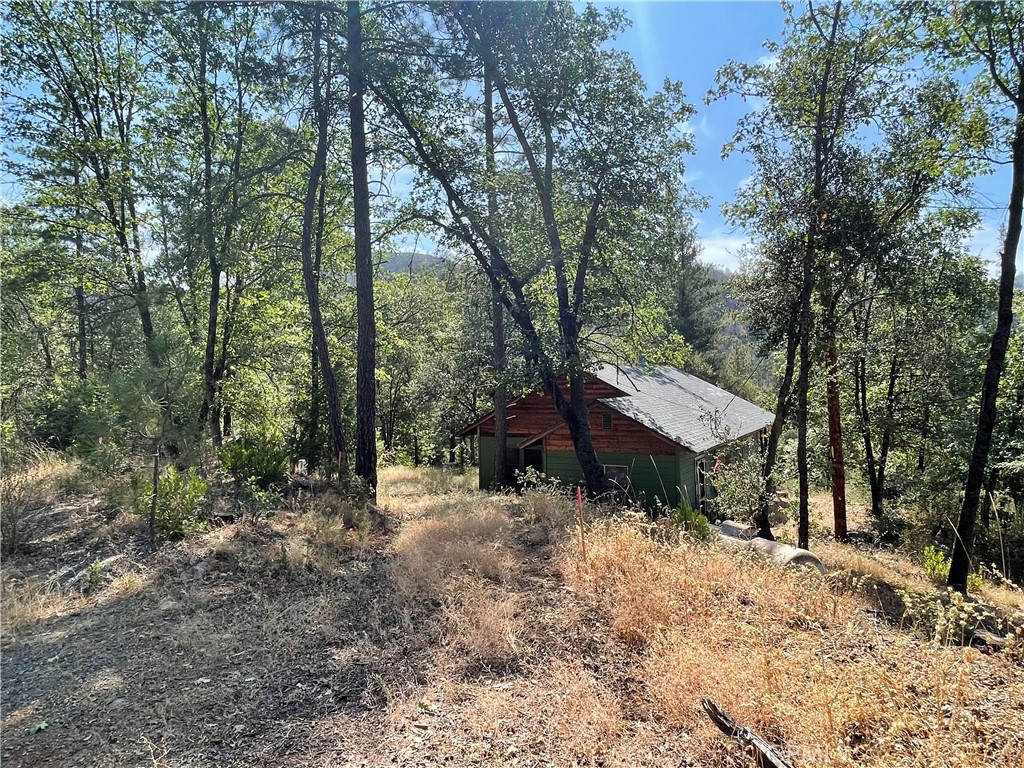 6246 Highway 140 Property Photo 25