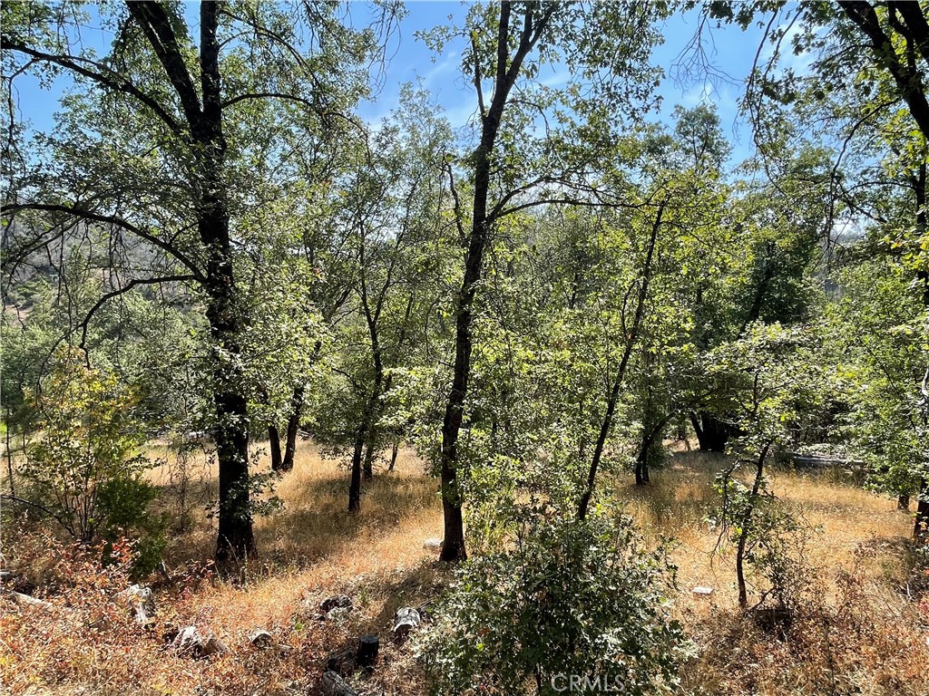 6246 Highway 140 Property Photo 27