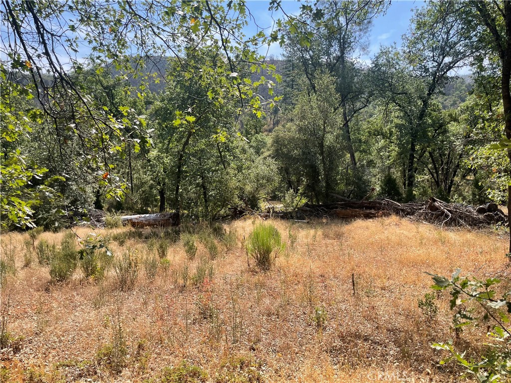 6246 Highway 140 Property Photo 28