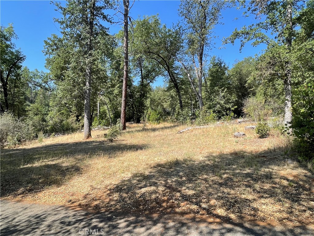 6246 Highway 140 Property Photo 29