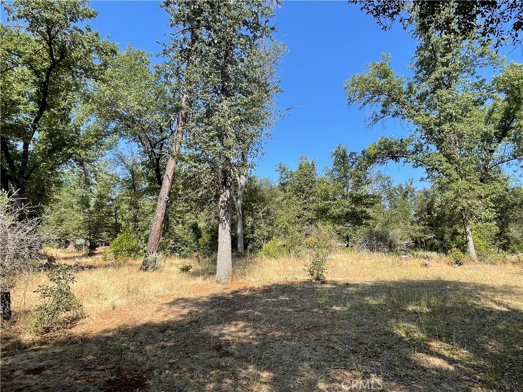 6246 Highway 140 Property Photo 30