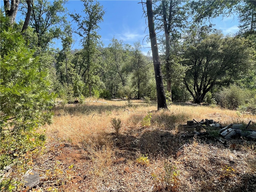6246 Highway 140 Property Photo 32