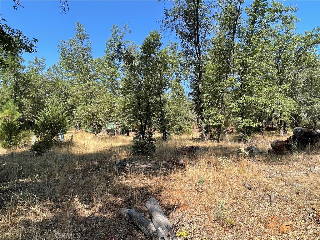 6246 Highway 140 Property Photo 33