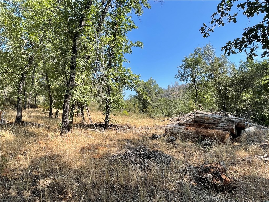 6246 Highway 140 Property Photo 34