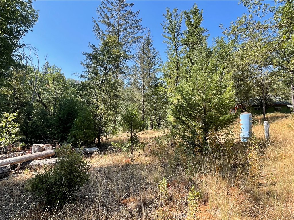 6246 Highway 140 Property Photo 35