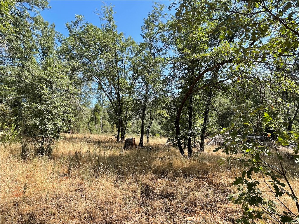 6246 Highway 140 Property Photo 36