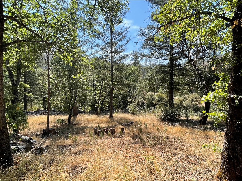 6246 Highway 140 Property Photo 37