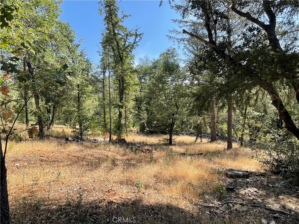 6246 Highway 140 Property Photo 38