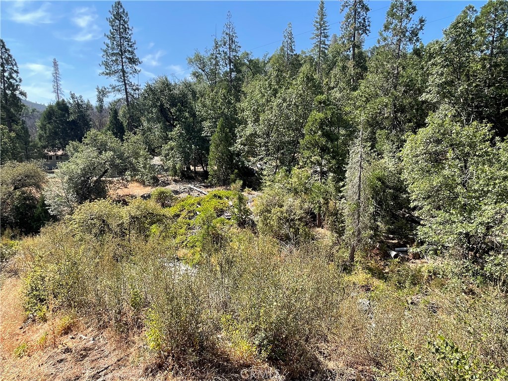 6246 Highway 140 Property Photo 39