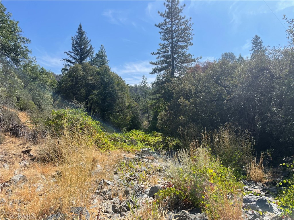 6246 Highway 140 Property Photo 43