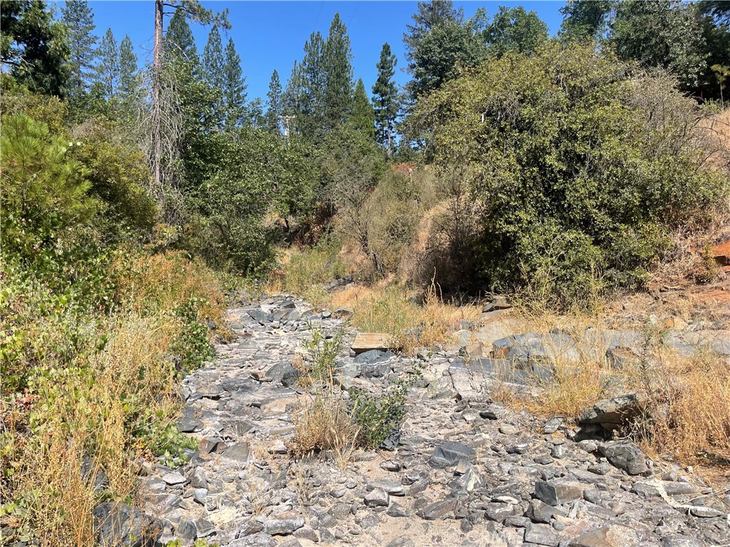 6246 Highway 140 Property Photo 44