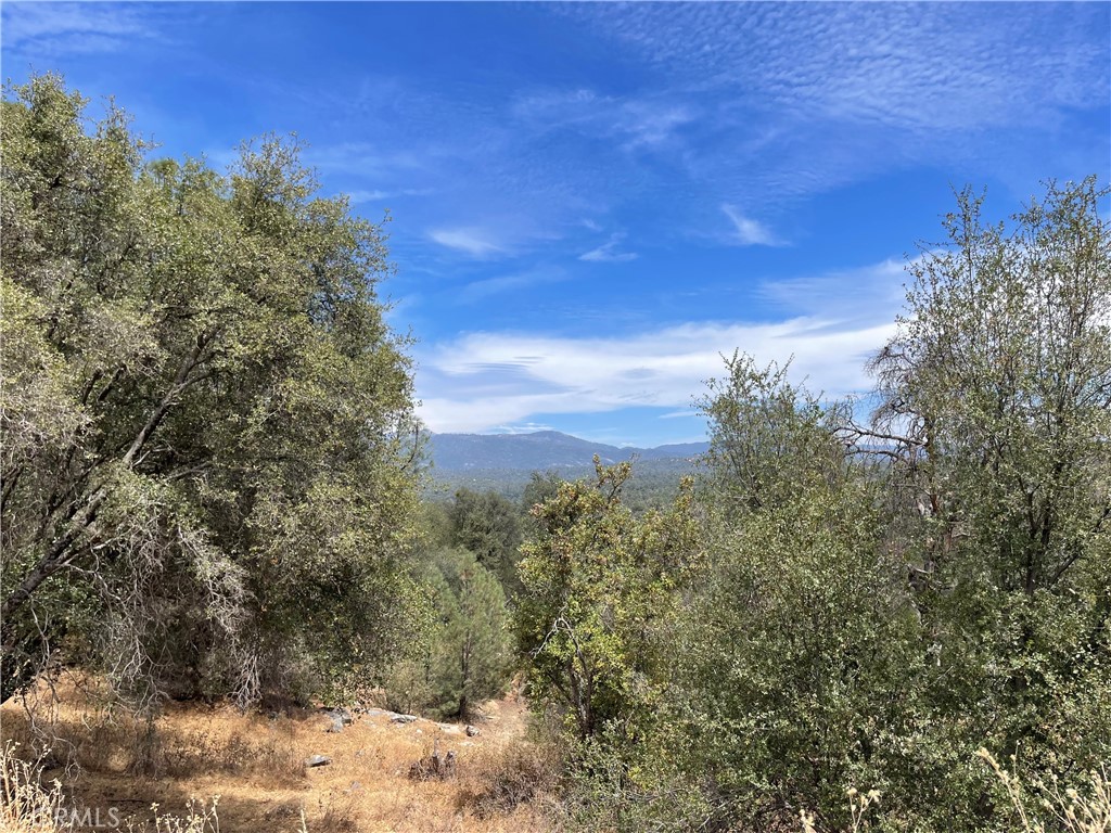 4856 Indian Peak Property Photo 14