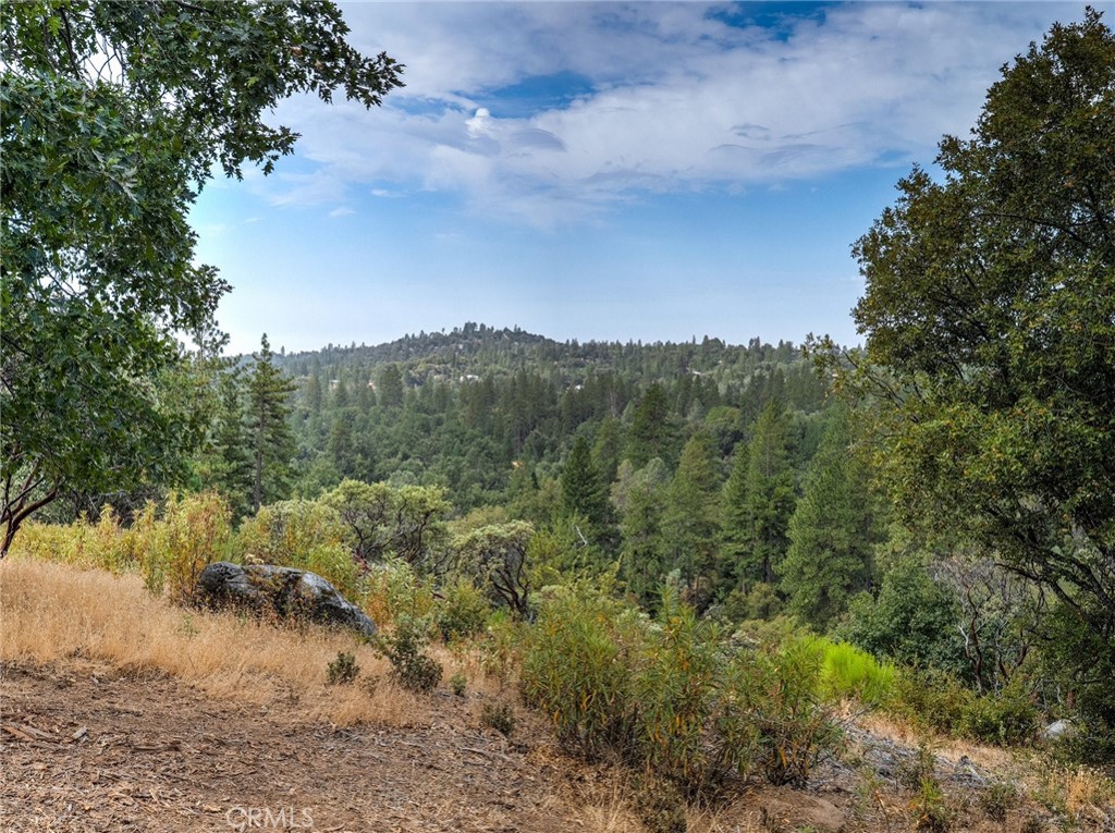 5 Acres Vista Lago Property Photo 1
