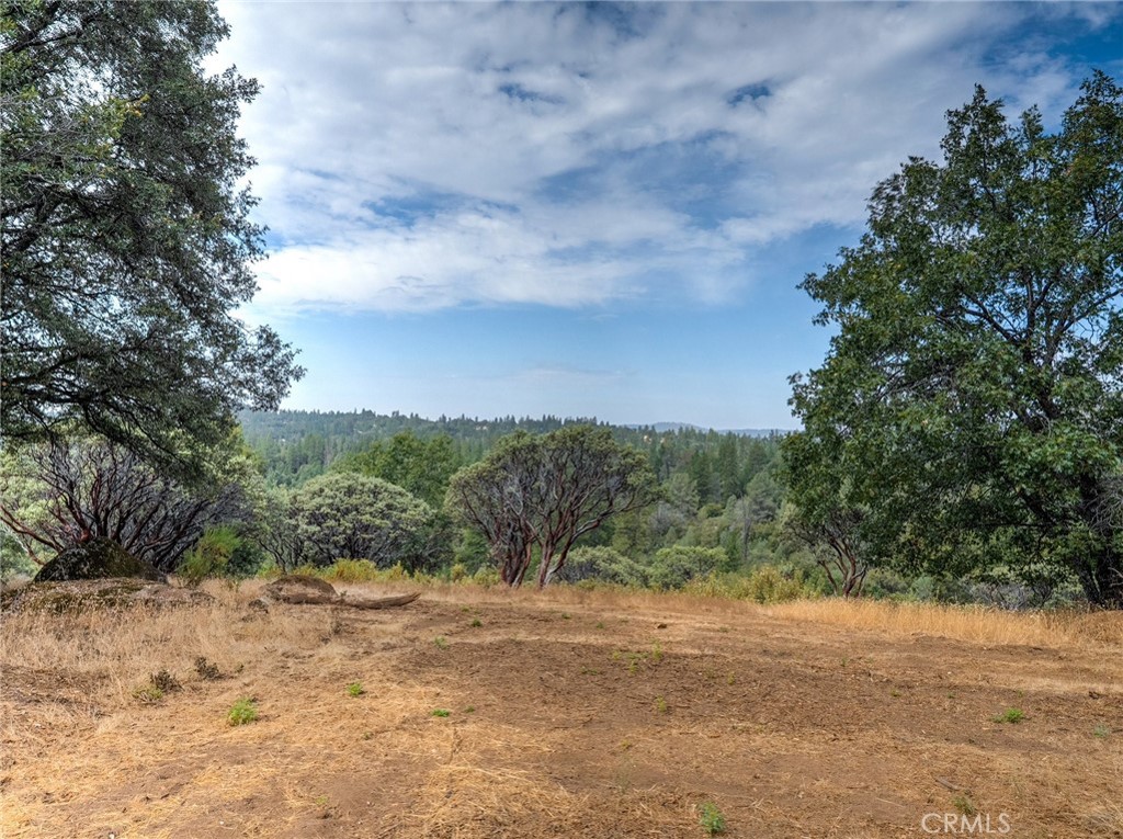 5 Acres Vista Lago Property Photo 3