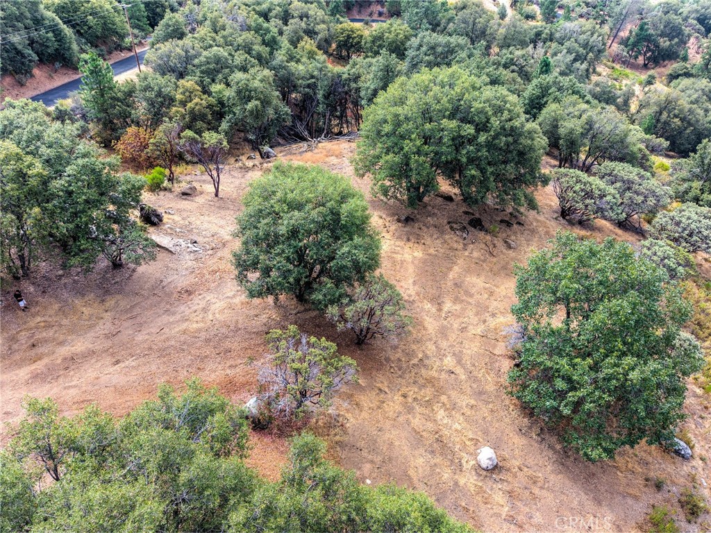 5 Acres Vista Lago Property Photo 4