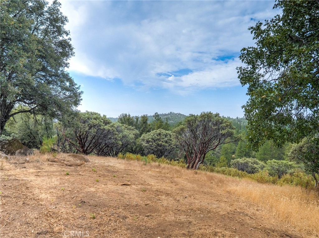 5 Acres Vista Lago Property Photo 6