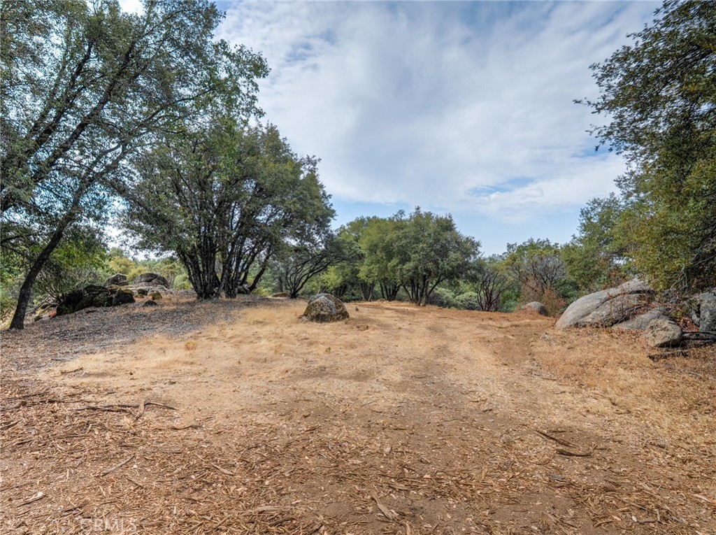 5 Acres Vista Lago Property Photo 7