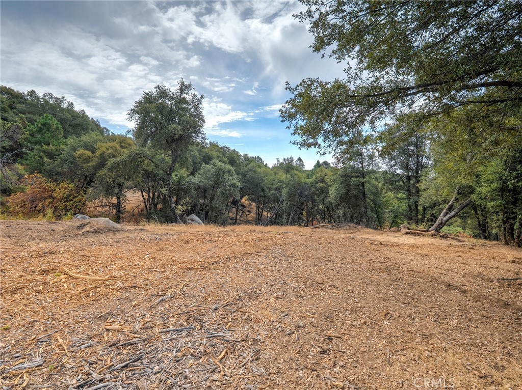 5 Acres Vista Lago Property Photo 8