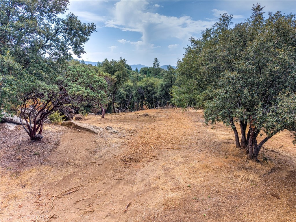 5 Acres Vista Lago Property Photo 10