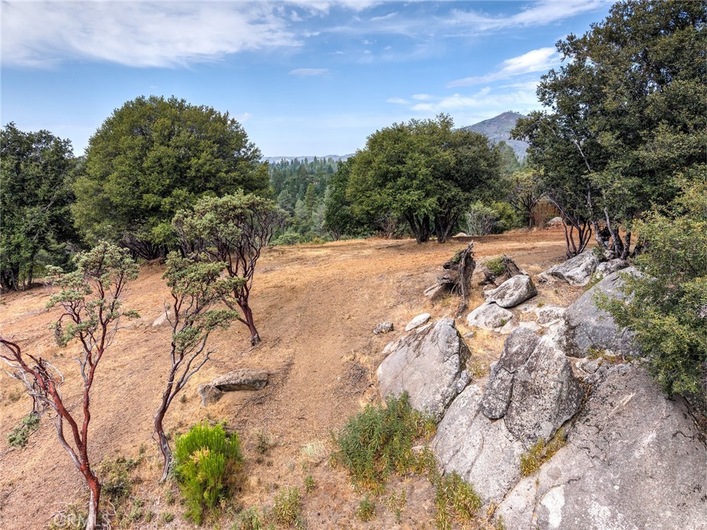 5 Acres Vista Lago Property Photo 11