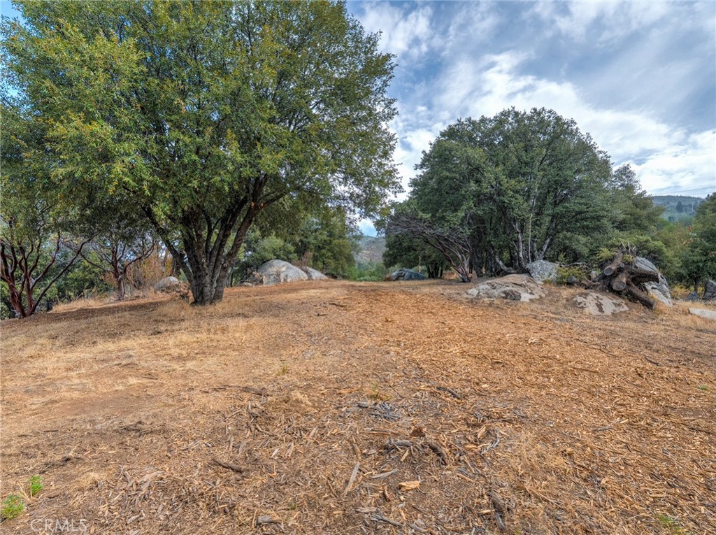 5 Acres Vista Lago Property Photo 12
