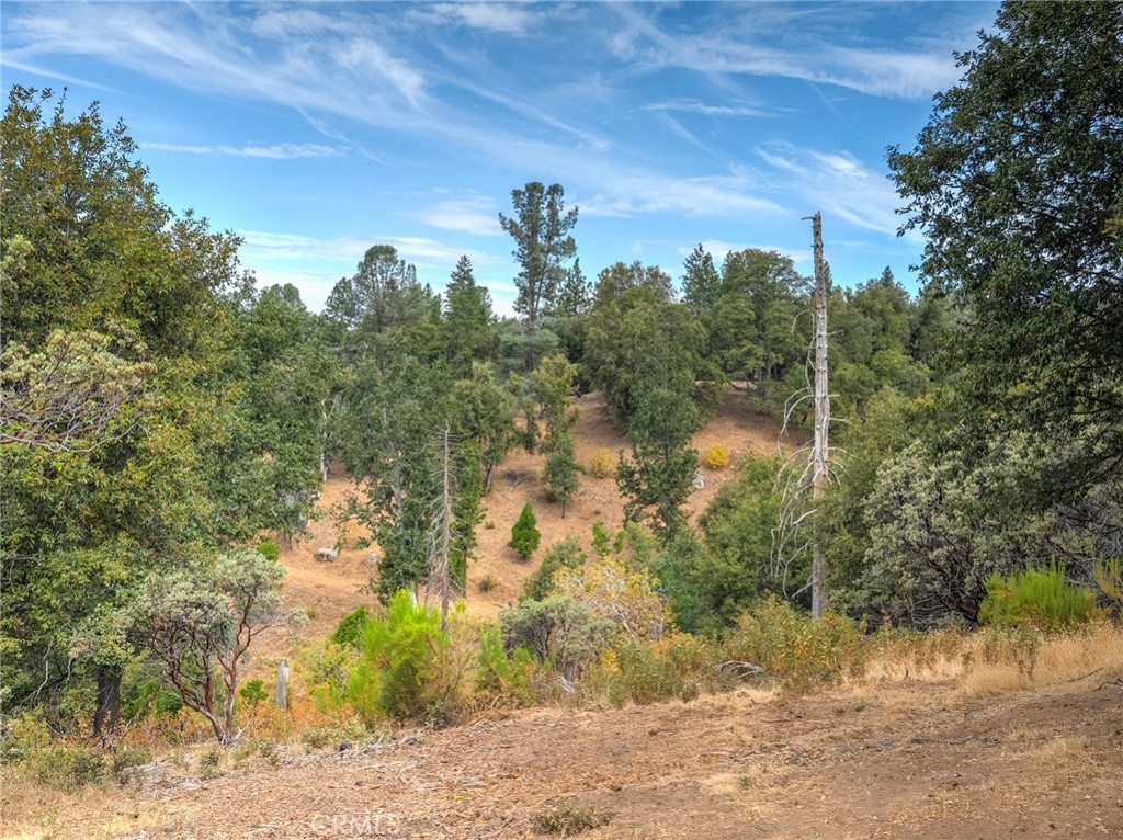 5 Acres Vista Lago Property Photo 13
