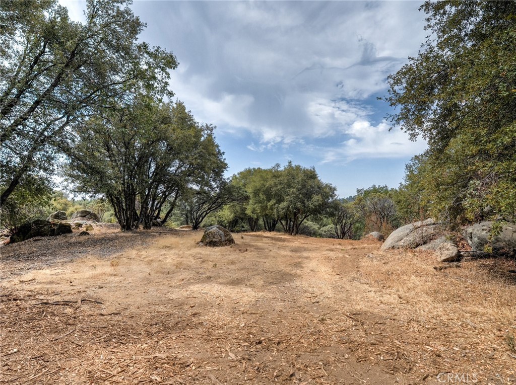 5 Acres Vista Lago Property Photo 16