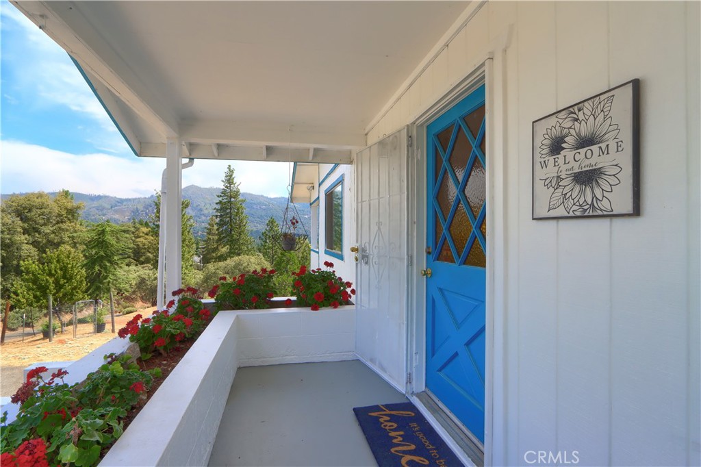 5767 Meadow Lane Property Photo 6