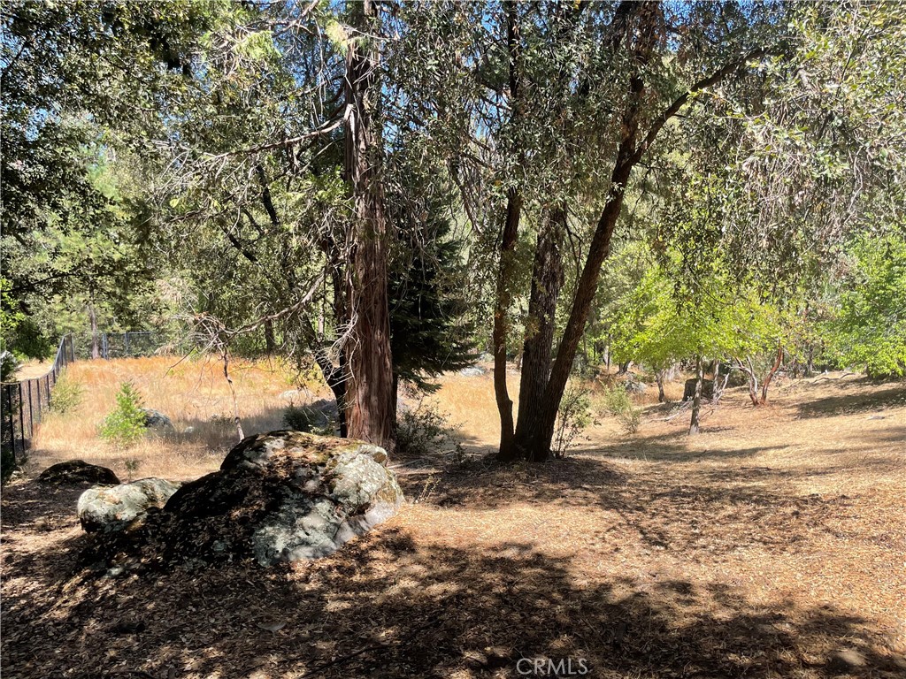 5601 Red Ibis Court Property Photo 36