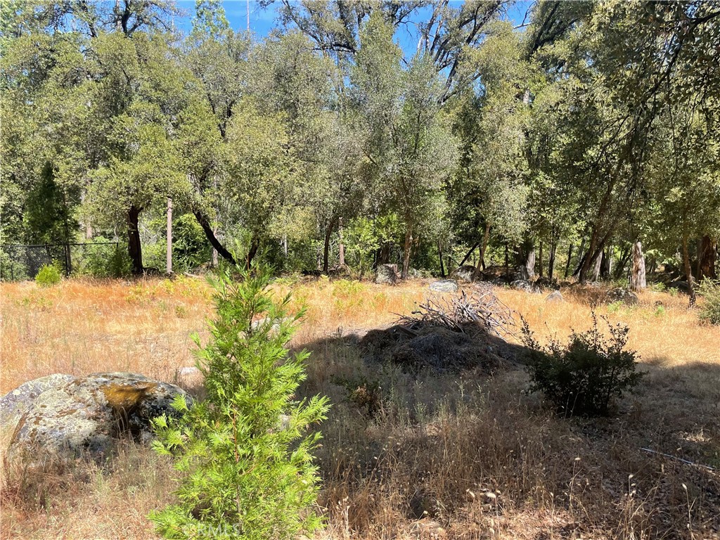 5601 Red Ibis Court Property Photo 37