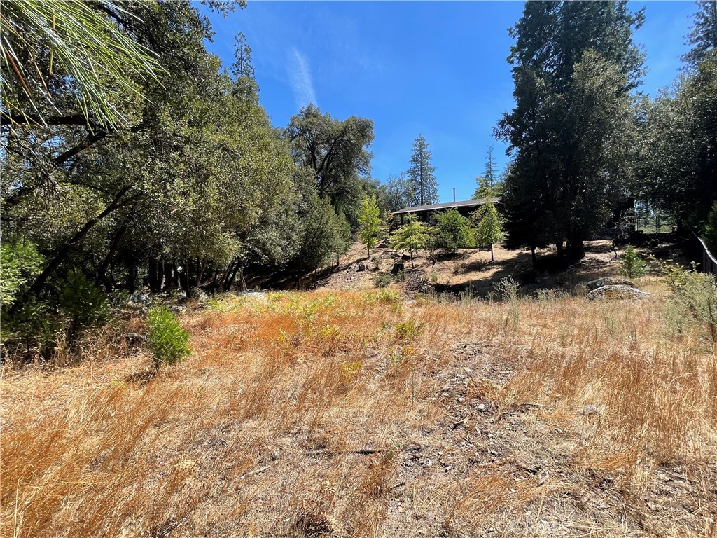 5601 Red Ibis Court Property Photo 38