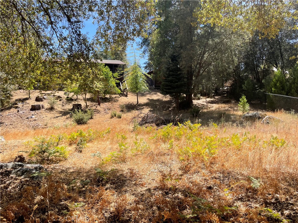 5601 Red Ibis Court Property Photo 39