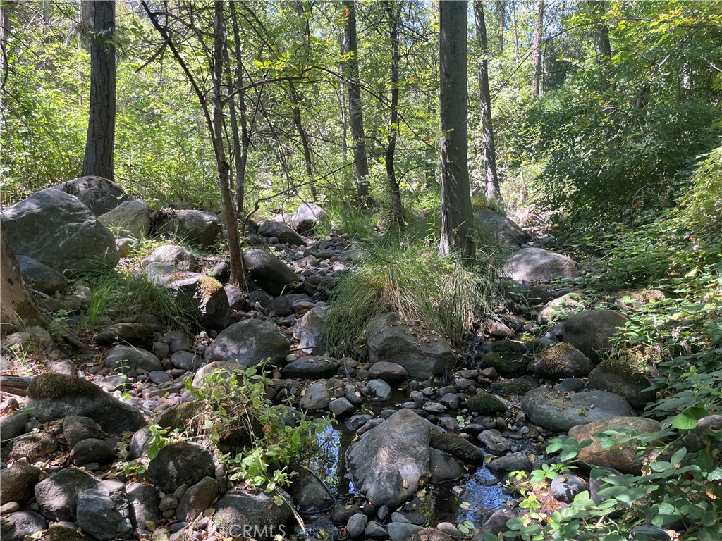5601 Red Ibis Court Property Photo 43