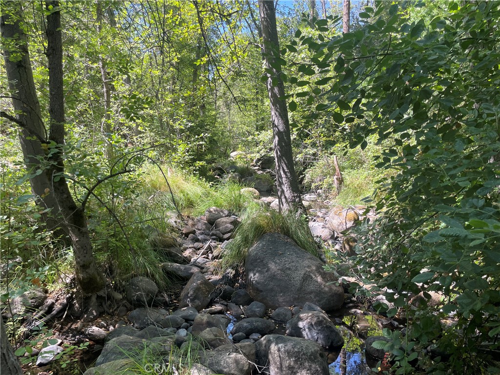 5601 Red Ibis Court Property Photo 45