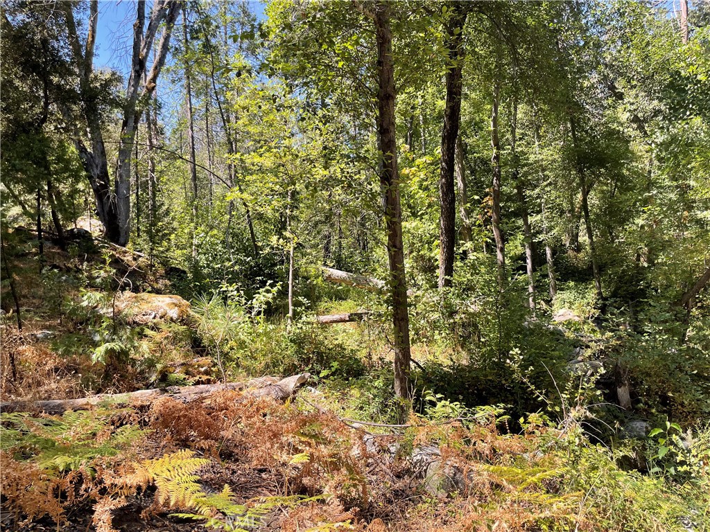 5601 Red Ibis Court Property Photo 48