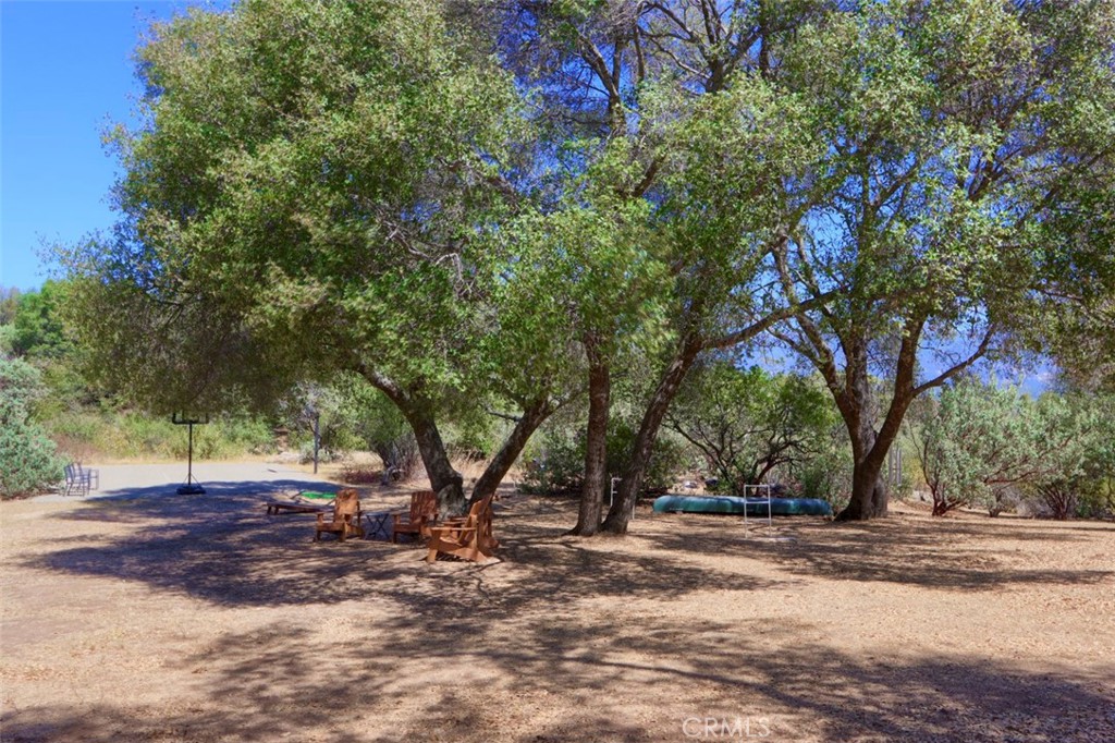 1956 Wild Horse Property Photo 51
