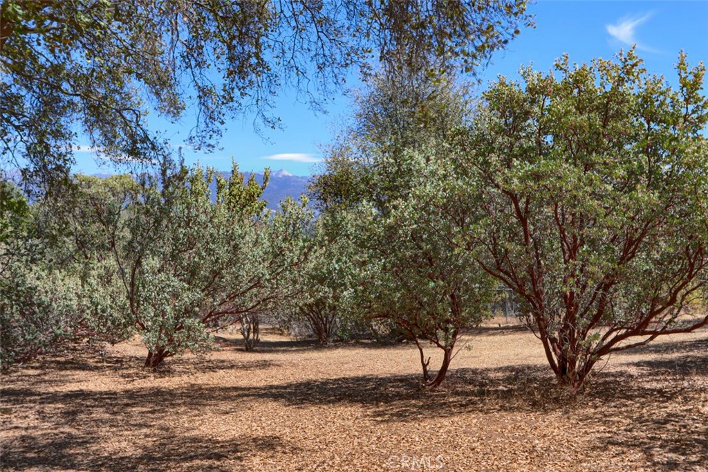 1956 Wild Horse Property Photo 61